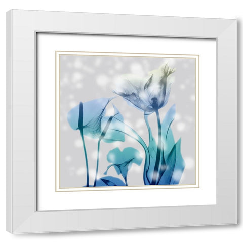 Morning Desire White Modern Wood Framed Art Print with Double Matting by Koetsier, Albert