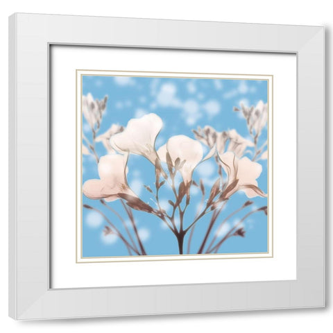 Ocean Oleander White Modern Wood Framed Art Print with Double Matting by Koetsier, Albert