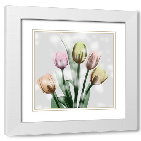 Awakening Tulips White Modern Wood Framed Art Print with Double Matting by Koetsier, Albert