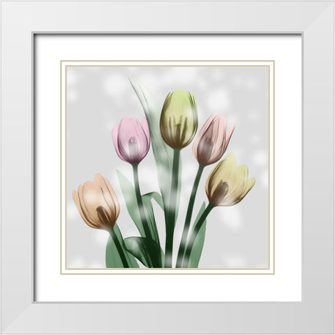 Awakening Tulips White Modern Wood Framed Art Print with Double Matting by Koetsier, Albert