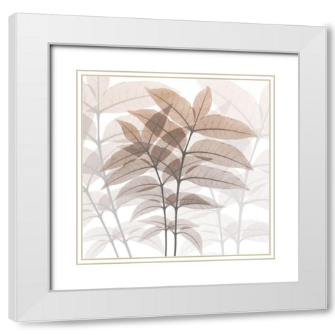 Eternal Desert 2 White Modern Wood Framed Art Print with Double Matting by Koetsier, Albert