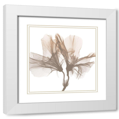 Dry Azalea 1 White Modern Wood Framed Art Print with Double Matting by Koetsier, Albert