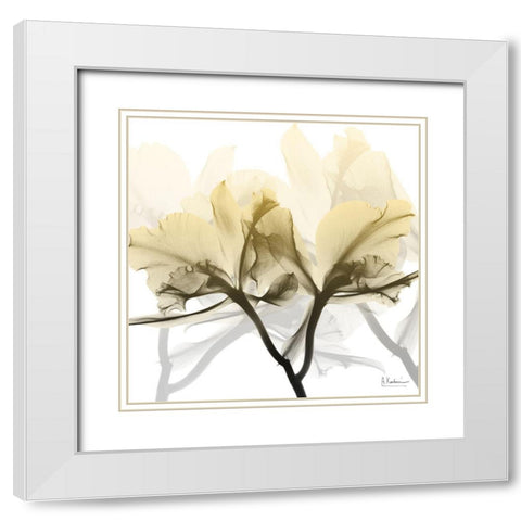 Flaxen Orchid White Modern Wood Framed Art Print with Double Matting by Koetsier, Albert