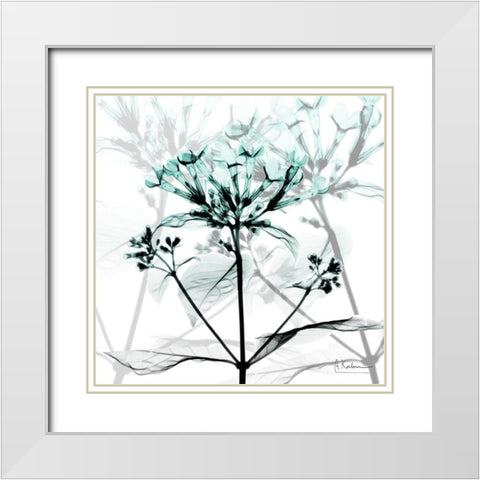 Crystalized Floral White Modern Wood Framed Art Print with Double Matting by Koetsier, Albert