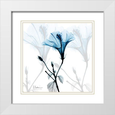 Hibiscus Azure White Modern Wood Framed Art Print with Double Matting by Koetsier, Albert