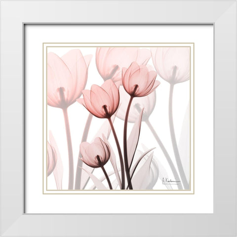 Blush Luster Tulips White Modern Wood Framed Art Print with Double Matting by Koetsier, Albert