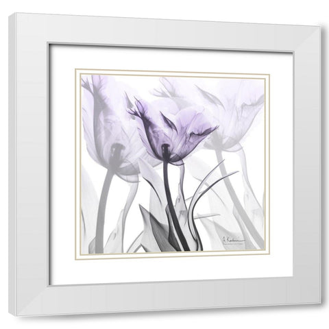 Lilac Luster Tulip White Modern Wood Framed Art Print with Double Matting by Koetsier, Albert