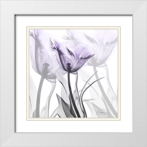 Lilac Luster Tulip White Modern Wood Framed Art Print with Double Matting by Koetsier, Albert