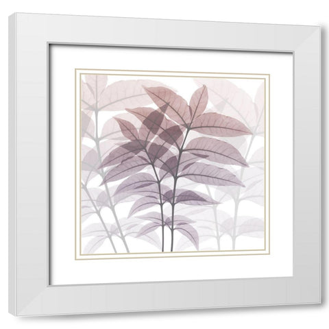 Eternal Bloom White Modern Wood Framed Art Print with Double Matting by Koetsier, Albert