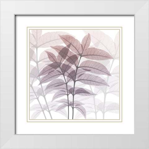 Eternal Bloom White Modern Wood Framed Art Print with Double Matting by Koetsier, Albert