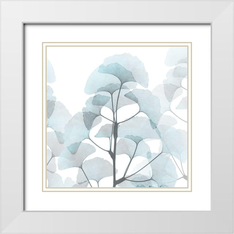 Glassy Ginko White Modern Wood Framed Art Print with Double Matting by Koetsier, Albert