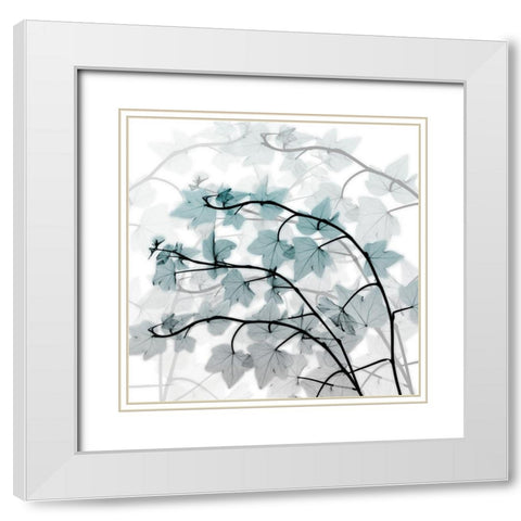 Icy Transformation White Modern Wood Framed Art Print with Double Matting by Koetsier, Albert