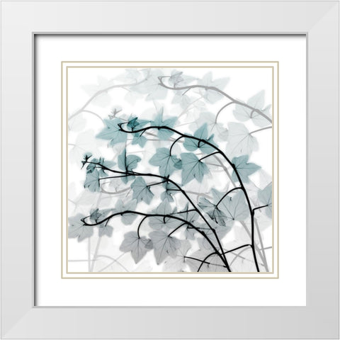 Icy Transformation White Modern Wood Framed Art Print with Double Matting by Koetsier, Albert