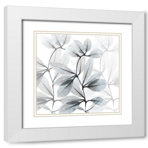 Frosted Desires White Modern Wood Framed Art Print with Double Matting by Koetsier, Albert