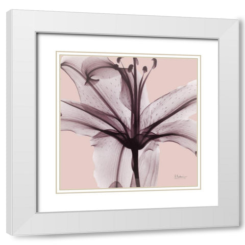 Sensitive Lily White Modern Wood Framed Art Print with Double Matting by Koetsier, Albert