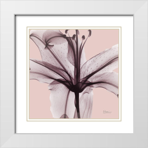 Sensitive Lily White Modern Wood Framed Art Print with Double Matting by Koetsier, Albert