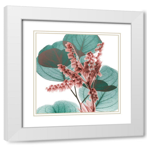 Blushing Lilly Of Eucalyptus 2 White Modern Wood Framed Art Print with Double Matting by Koetsier, Albert