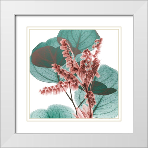Blushing Lilly Of Eucalyptus 2 White Modern Wood Framed Art Print with Double Matting by Koetsier, Albert