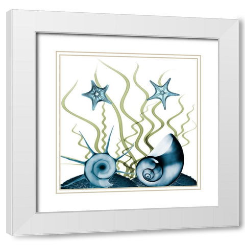 Majestic Sea Floor 1 White Modern Wood Framed Art Print with Double Matting by Koetsier, Albert