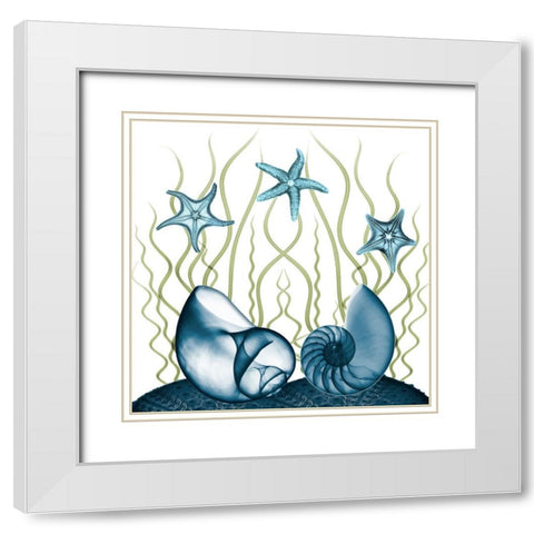 Majestic Sea Floor 2 White Modern Wood Framed Art Print with Double Matting by Koetsier, Albert