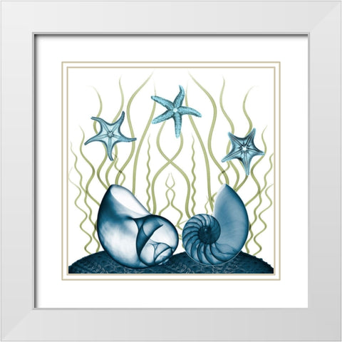 Majestic Sea Floor 2 White Modern Wood Framed Art Print with Double Matting by Koetsier, Albert