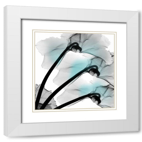 Teal Luster Cyclamen White Modern Wood Framed Art Print with Double Matting by Koetsier, Albert