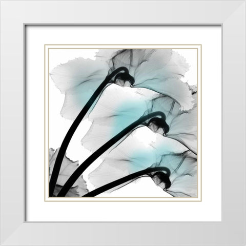 Teal Luster Cyclamen White Modern Wood Framed Art Print with Double Matting by Koetsier, Albert