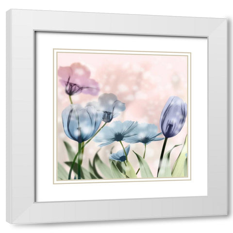 Garden Of Wonders 2 White Modern Wood Framed Art Print with Double Matting by Koetsier, Albert