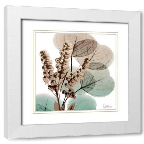 Oasis Eucalyptus 1 White Modern Wood Framed Art Print with Double Matting by Koetsier, Albert