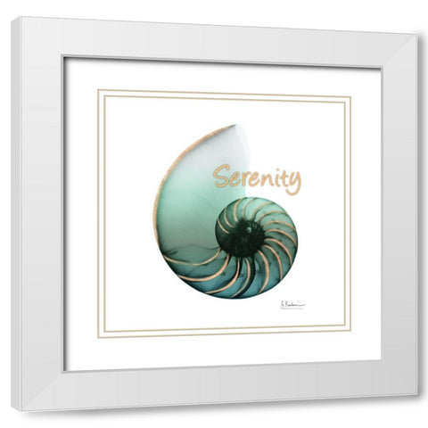 Shinny Serenity Snail 1 White Modern Wood Framed Art Print with Double Matting by Koetsier, Albert