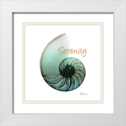 Shinny Serenity Snail 1 White Modern Wood Framed Art Print with Double Matting by Koetsier, Albert