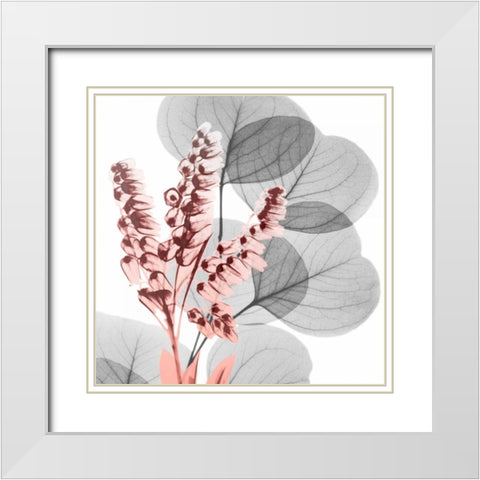 Eucalyptus Blush 2 White Modern Wood Framed Art Print with Double Matting by Koetsier, Albert