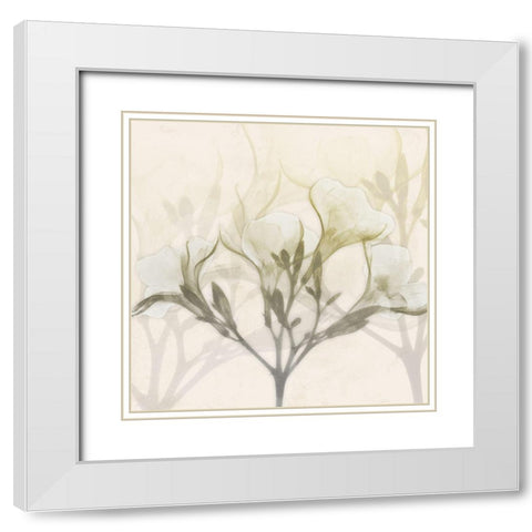 Sunkissed Oleander White Modern Wood Framed Art Print with Double Matting by Koetsier, Albert