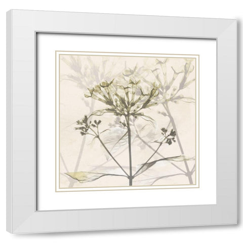 Sunkissed Floral White Modern Wood Framed Art Print with Double Matting by Koetsier, Albert
