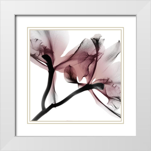 Blushing Luster 1 White Modern Wood Framed Art Print with Double Matting by Koetsier, Albert