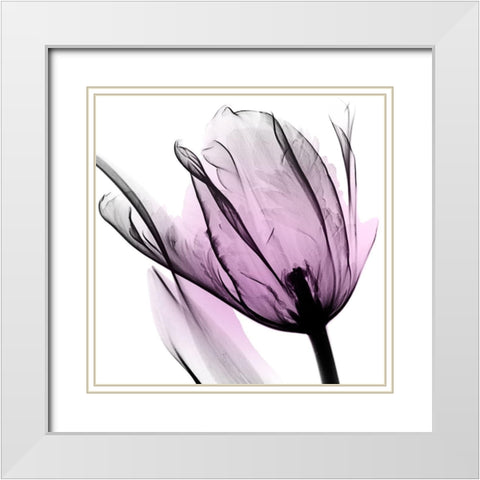 Illuminated Tulip White Modern Wood Framed Art Print with Double Matting by Koetsier, Albert