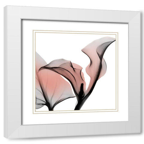 Dawned Calla Lily White Modern Wood Framed Art Print with Double Matting by Koetsier, Albert