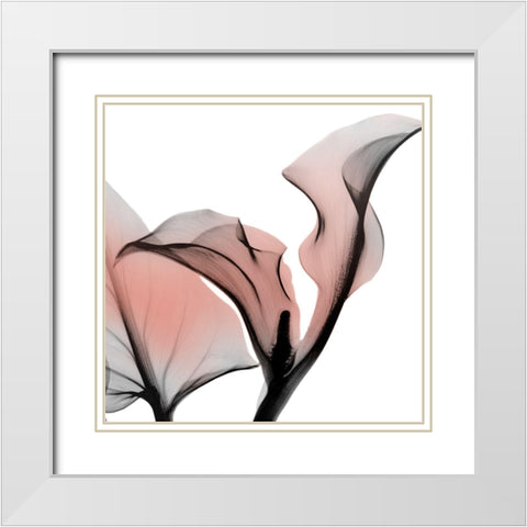 Dawned Calla Lily White Modern Wood Framed Art Print with Double Matting by Koetsier, Albert