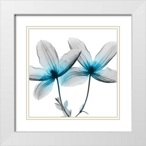 Vibrant Clematis 2 White Modern Wood Framed Art Print with Double Matting by Koetsier, Albert