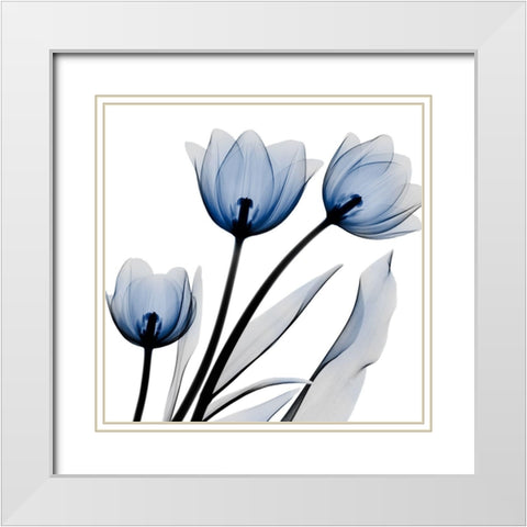 Brilliant Night Tulips C68 White Modern Wood Framed Art Print with Double Matting by Koetsier, Albert