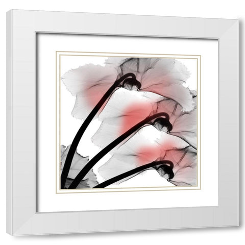 Coral Luster Cyclamen White Modern Wood Framed Art Print with Double Matting by Koetsier, Albert