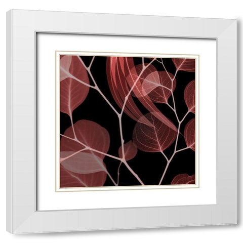 Coral Infused Eucalyptus 1 White Modern Wood Framed Art Print with Double Matting by Koetsier, Albert