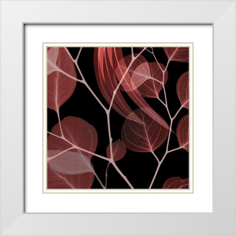 Coral Infused Eucalyptus 1 White Modern Wood Framed Art Print with Double Matting by Koetsier, Albert