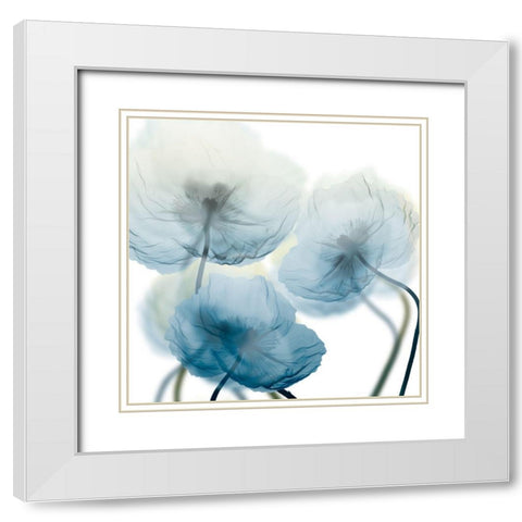 Unfocused Beauty 1 White Modern Wood Framed Art Print with Double Matting by Koetsier, Albert