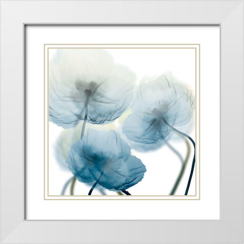 Unfocused Beauty 1 White Modern Wood Framed Art Print with Double Matting by Koetsier, Albert