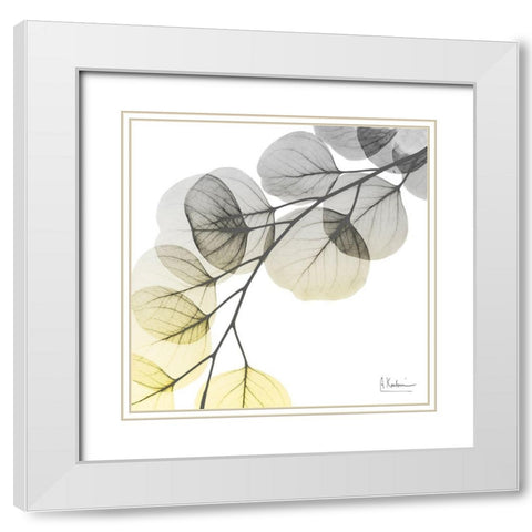 Brilliant Eucalyptus 1 White Modern Wood Framed Art Print with Double Matting by Koetsier, Albert