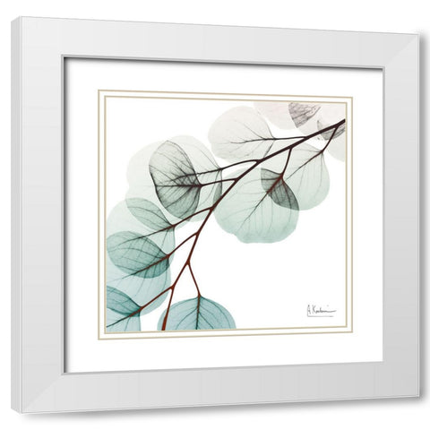 Extravagant Eucalyptus 1 White Modern Wood Framed Art Print with Double Matting by Koetsier, Albert