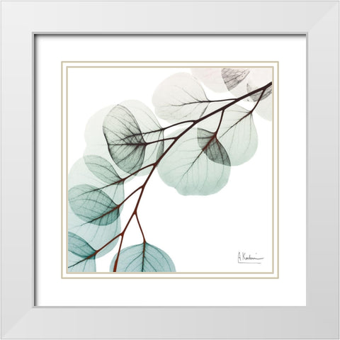 Extravagant Eucalyptus 1 White Modern Wood Framed Art Print with Double Matting by Koetsier, Albert