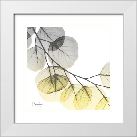 Brilliant Eucalyptus 2 White Modern Wood Framed Art Print with Double Matting by Koetsier, Albert