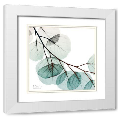 Extravagant Eucalyptus 2 White Modern Wood Framed Art Print with Double Matting by Koetsier, Albert